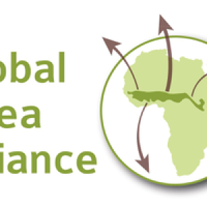 e914382b-ca6a-4788-8180-d8d95400cf78